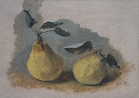 Artist Carolyn Sergeant: Two Pears, 1995