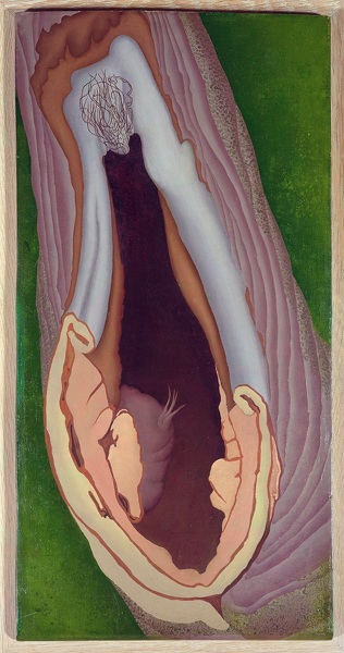Artist Ithell Colquhoun: Tree Anatomy, 1942