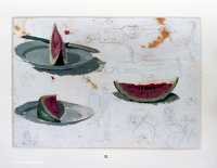 Artist Winifred Knights: Study of watermelons for The Marriage at Cana
